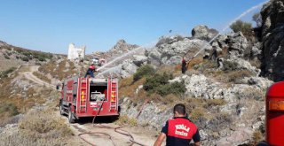 Büyükşehir Ekipleri Bodrum ve Yatağan'daki Orman Yangınlarına Müdahale Etti