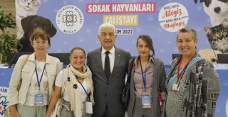 Sokak Hayvanları Çalıştayı'nın Sonuç Bildirgesi Yayınlandı