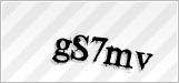 CAPTCHA security code