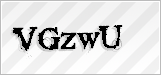 CAPTCHA security code