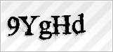 CAPTCHA security code