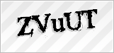CAPTCHA security code
