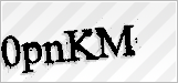 CAPTCHA security code
