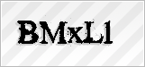 CAPTCHA security code