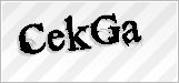 CAPTCHA security code