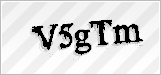 CAPTCHA security code
