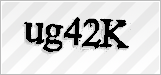 CAPTCHA security code