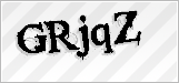 CAPTCHA security code