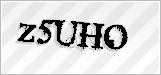 CAPTCHA security code